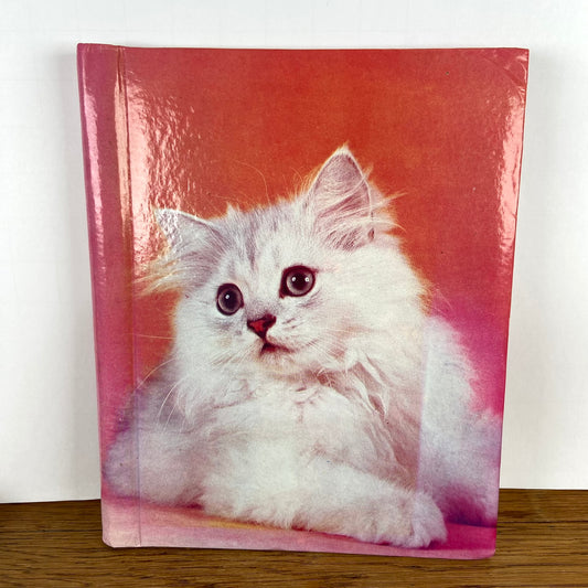 Vintage fotoalbum kat