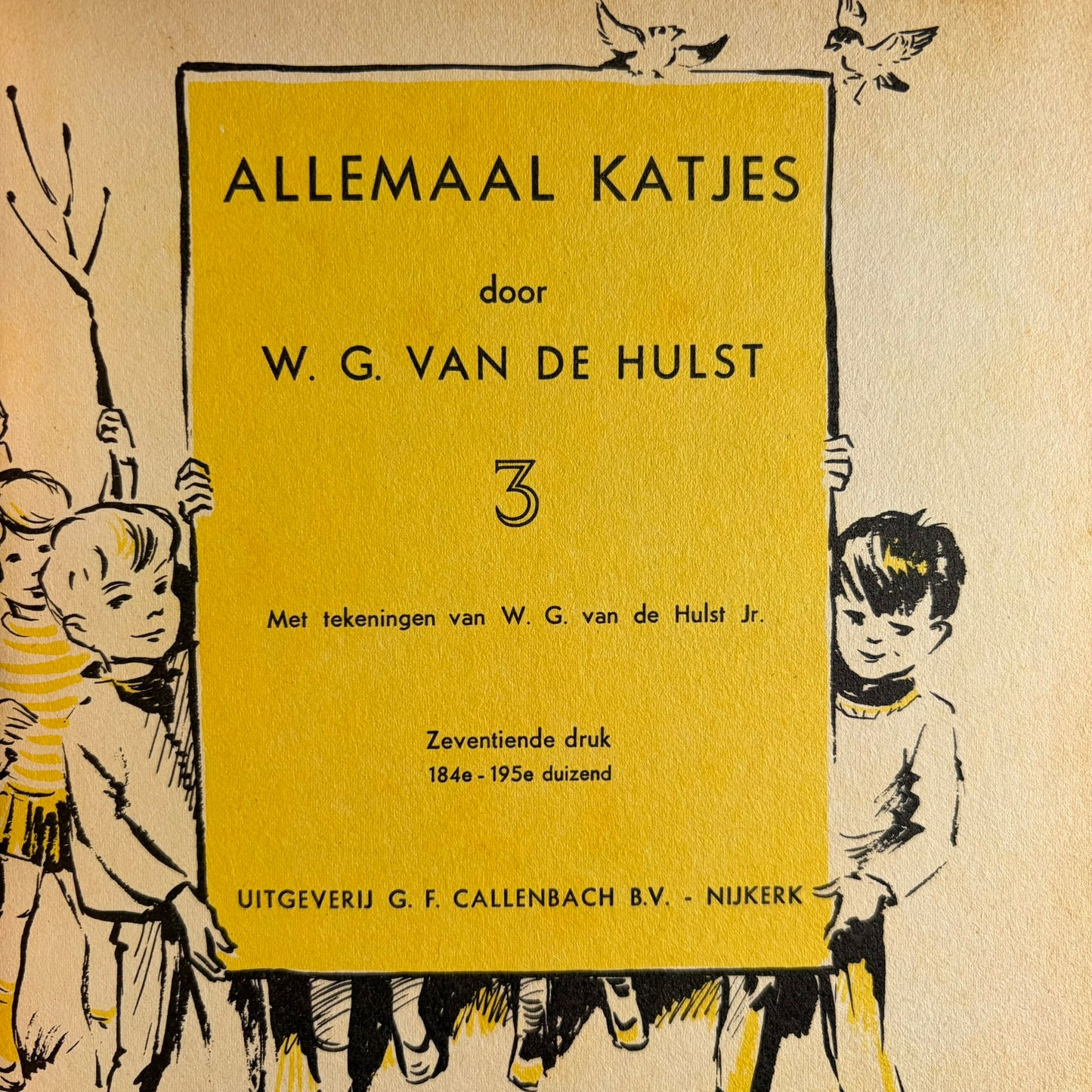 Boek: Allemaal Katjes  W.G. van de Hulst