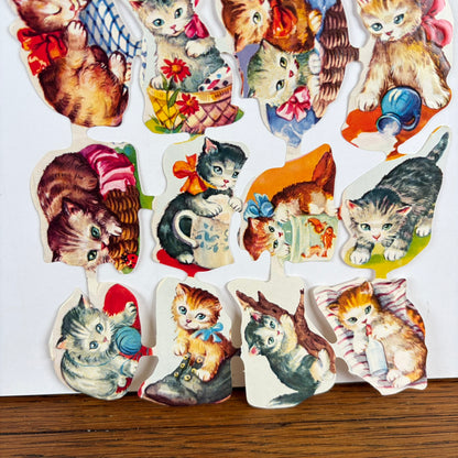 Poezieplaatjes katten Kruger