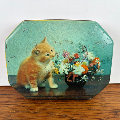 Vintage blikje rode kat