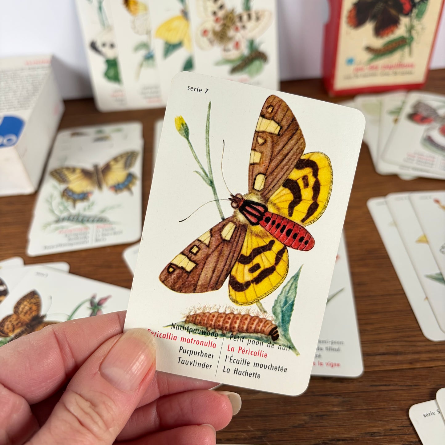 Vintage vlinder kwartet