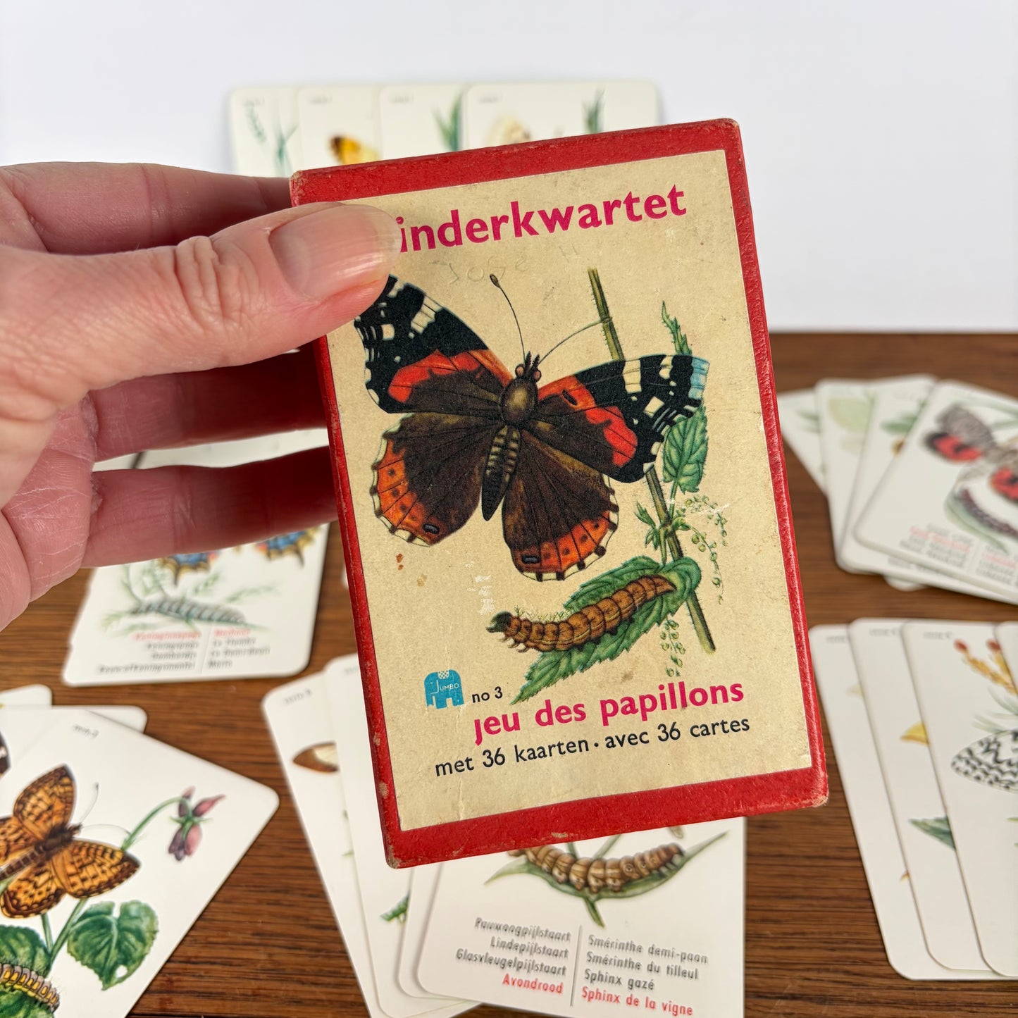 Vintage vlinder kwartet