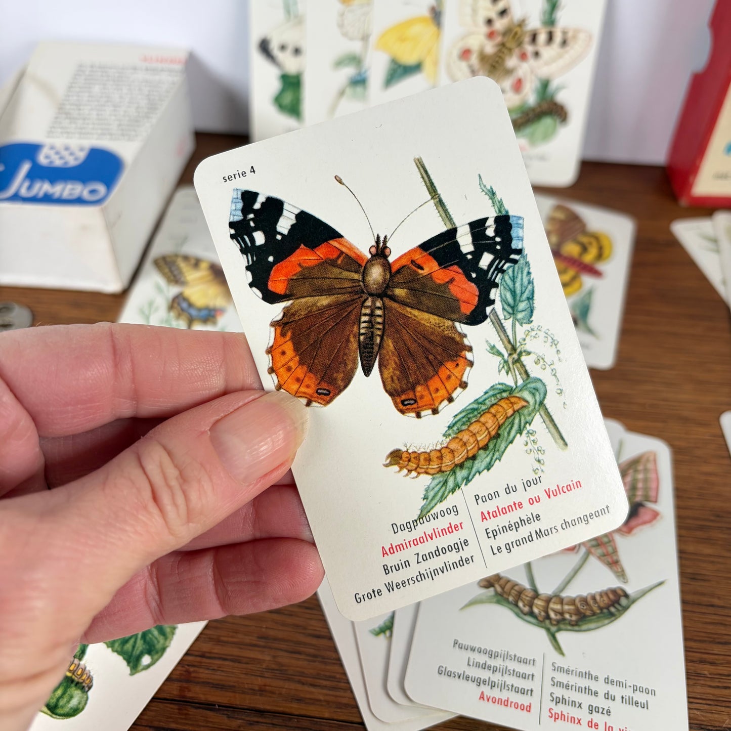 Vintage vlinder kwartet