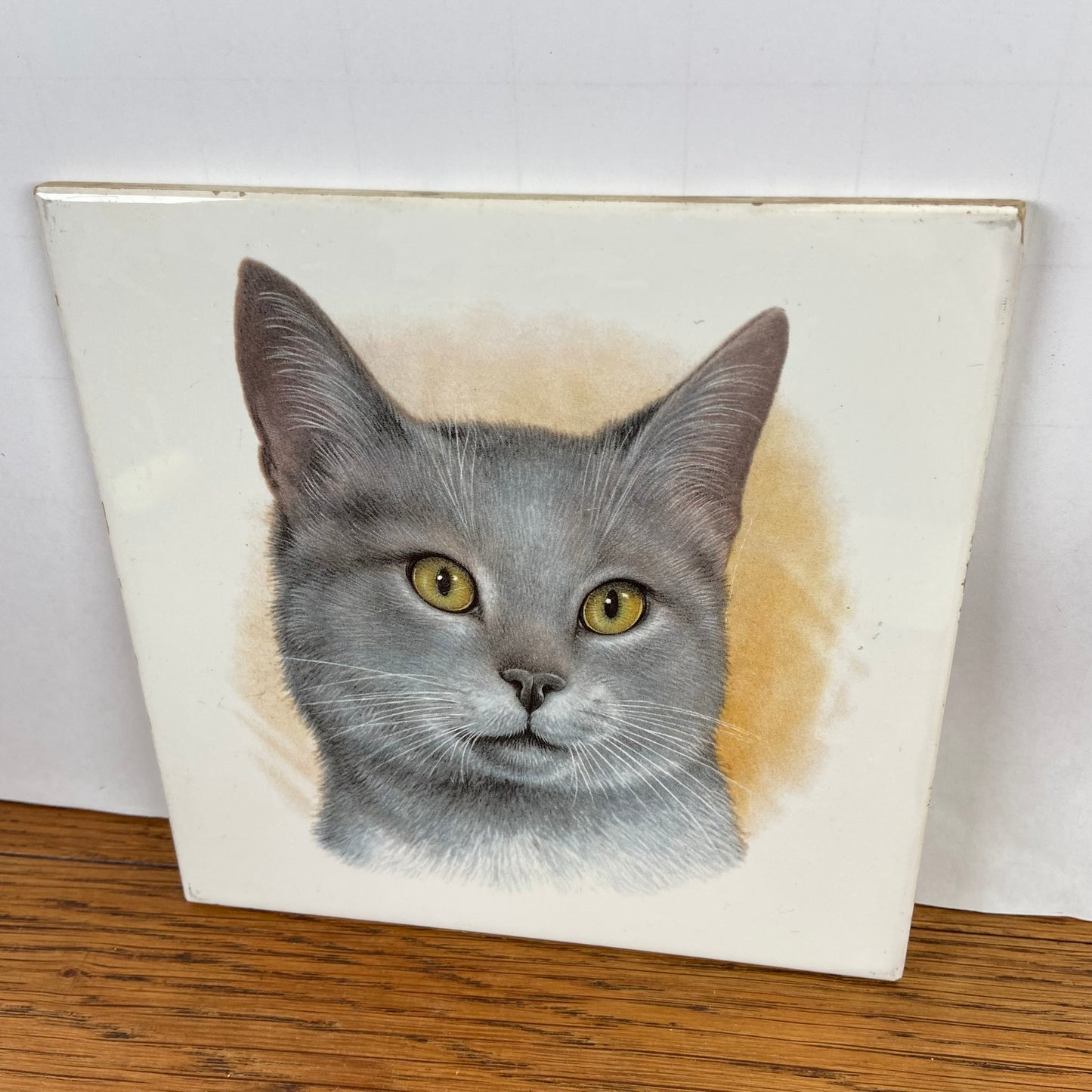 Vintage katten tegel