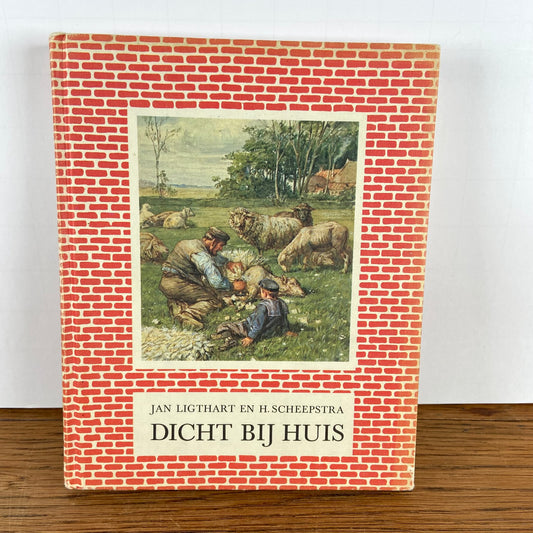 Boek Dicht bij Huis