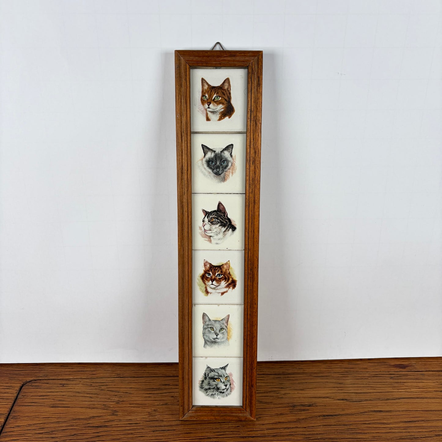 Vintage tegeltjes katten in lijst