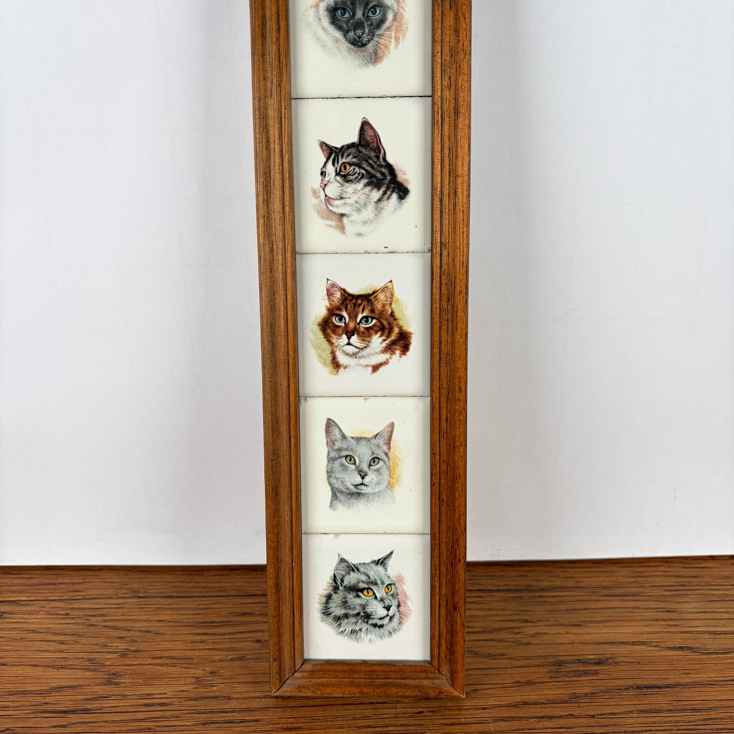 Vintage tegeltjes katten in lijst