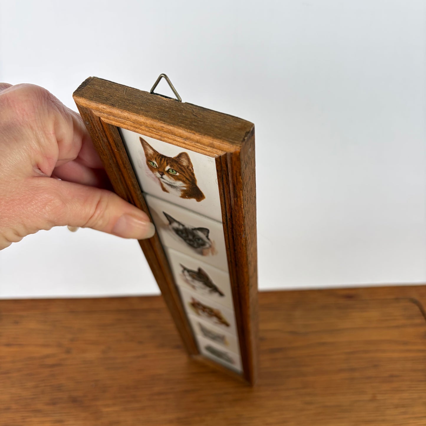 Vintage tegeltjes katten in lijst