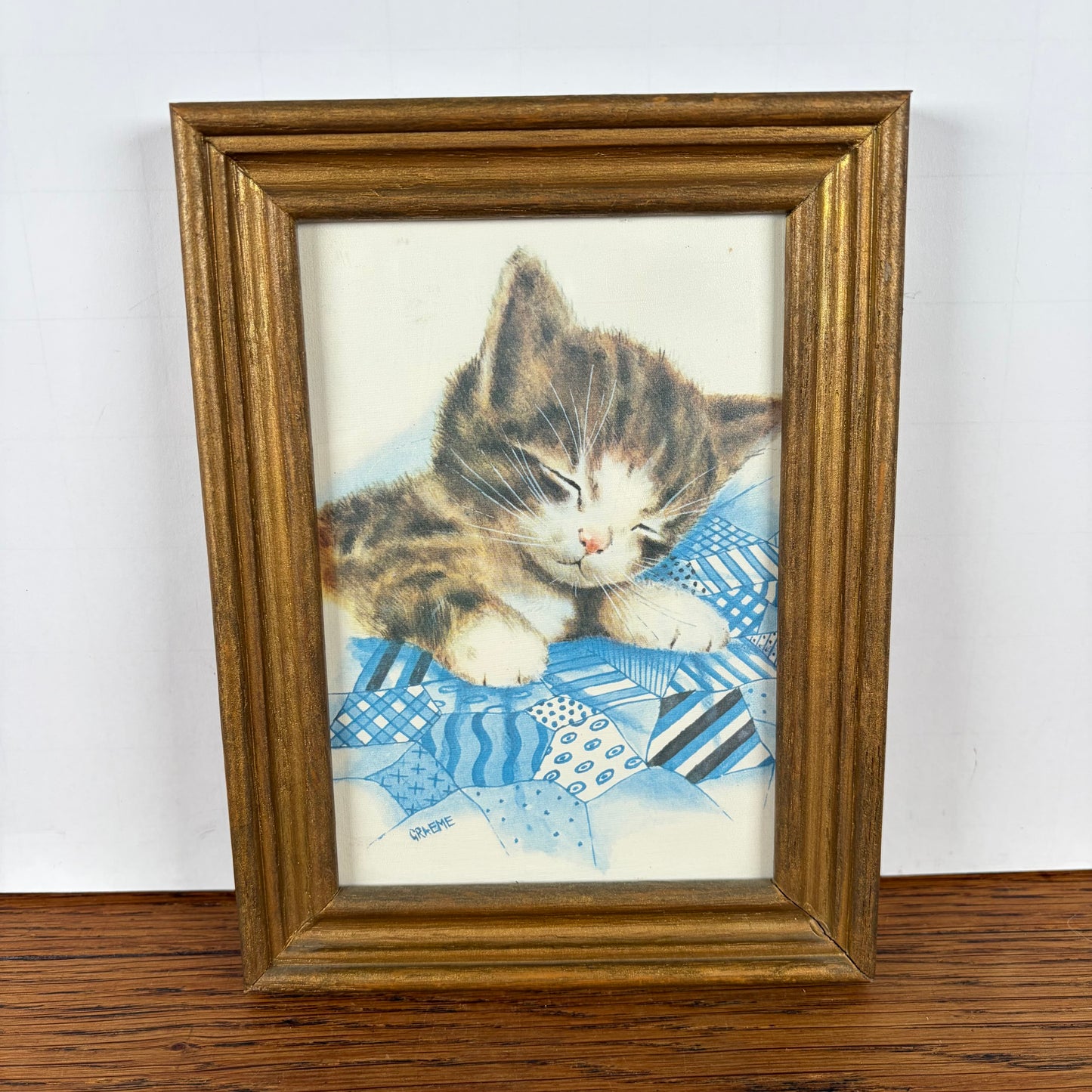 Vintage lijstje slapende kitten