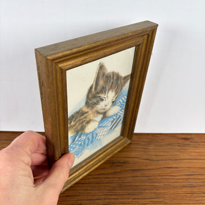 Vintage lijstje slapende kitten