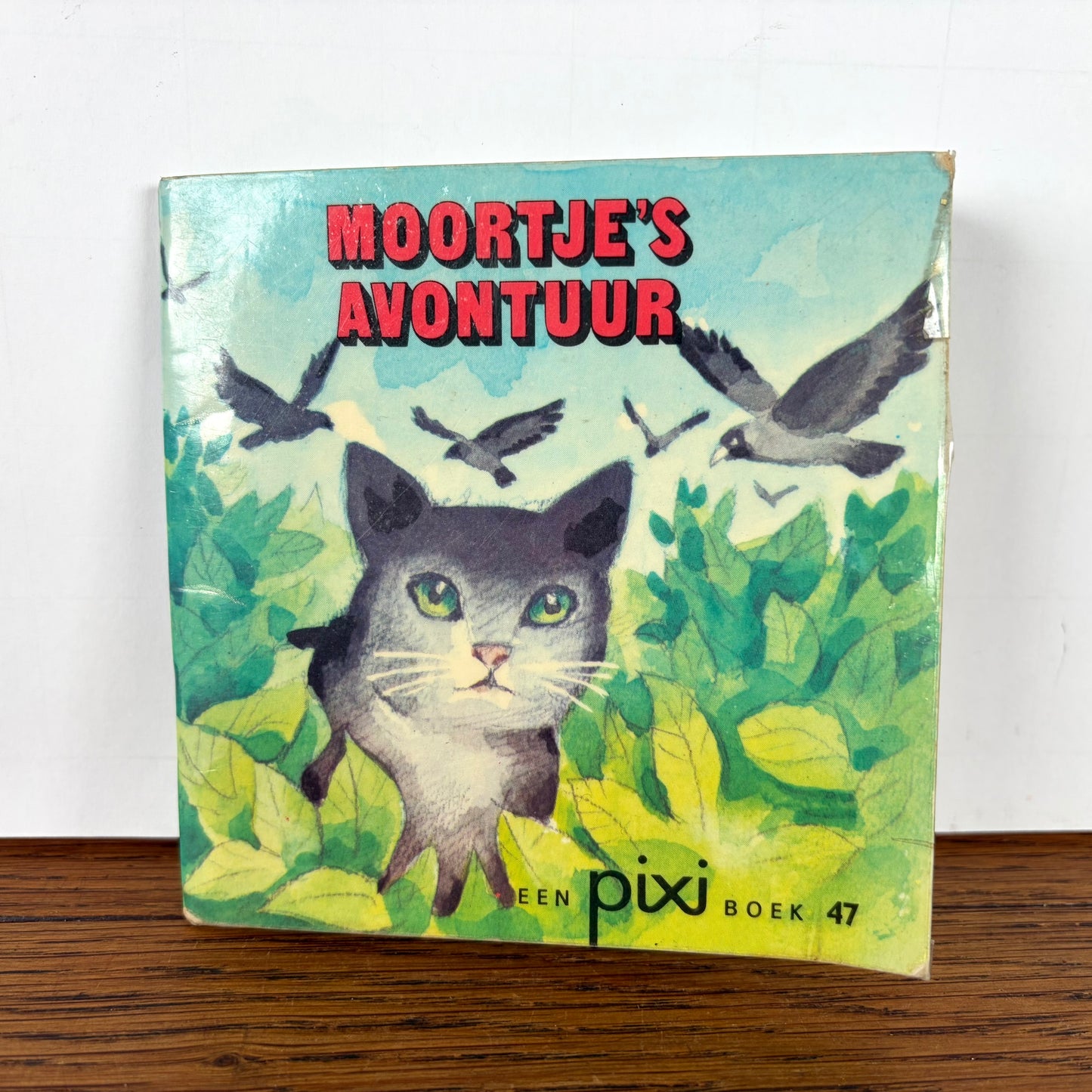 Pixi boekje Moortje’s Avontuur