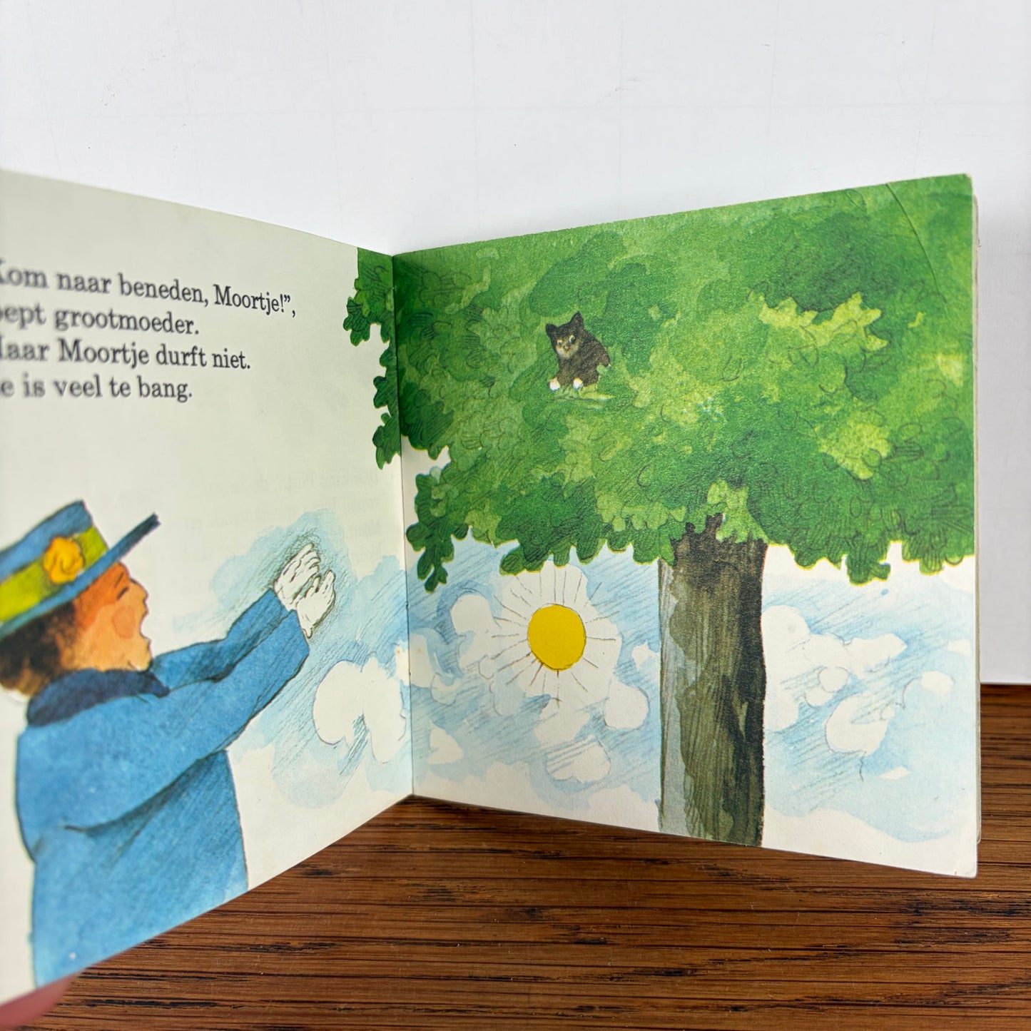 Pixi boekje Moortje’s Avontuur