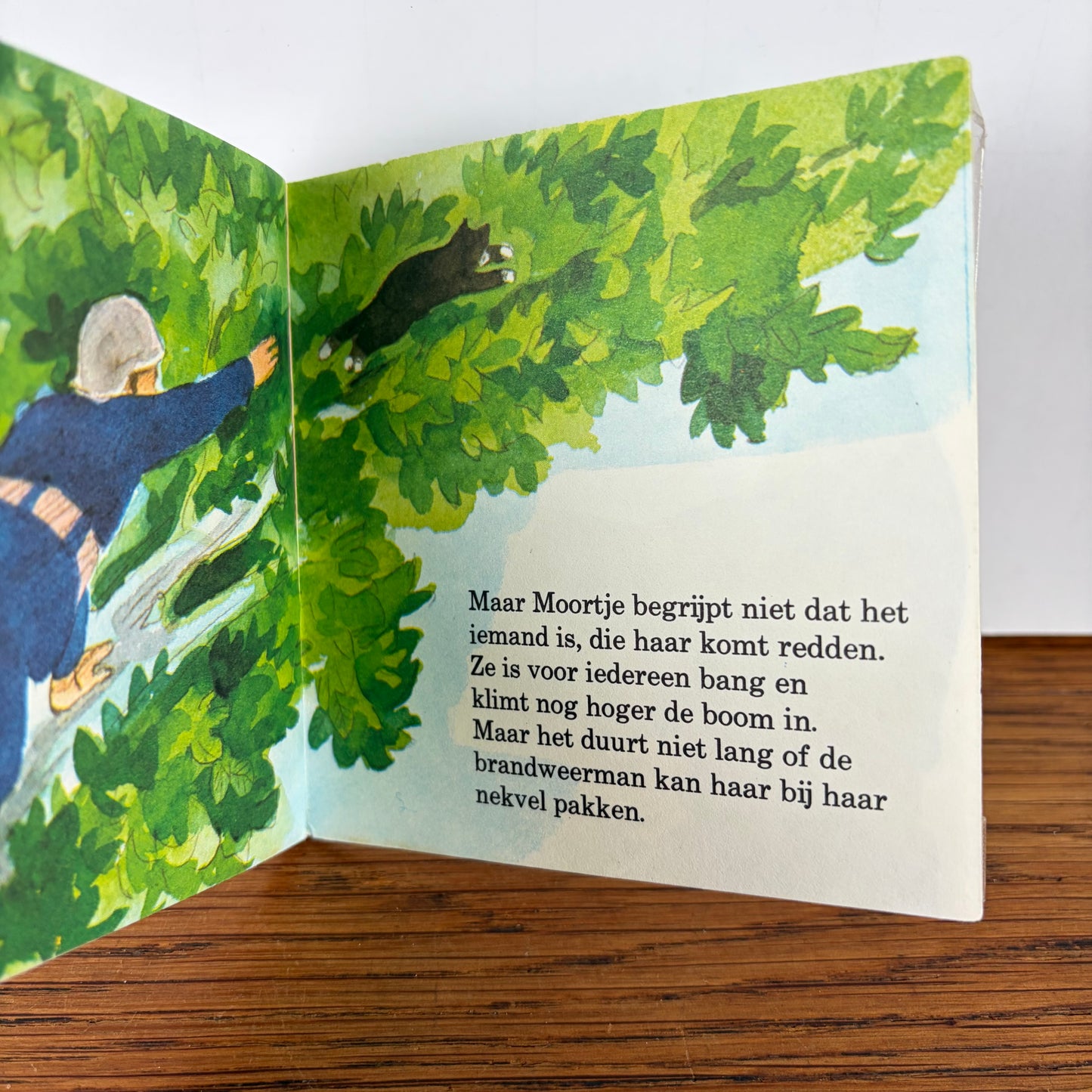 Pixi boekje Moortje’s Avontuur