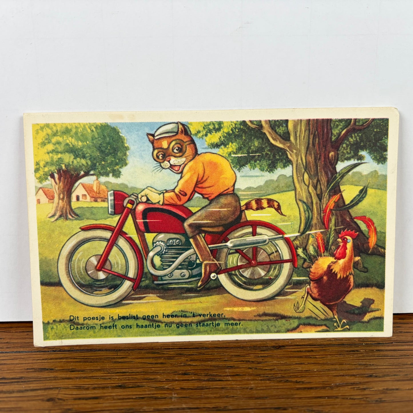 Vintage katten kaart motorfiets