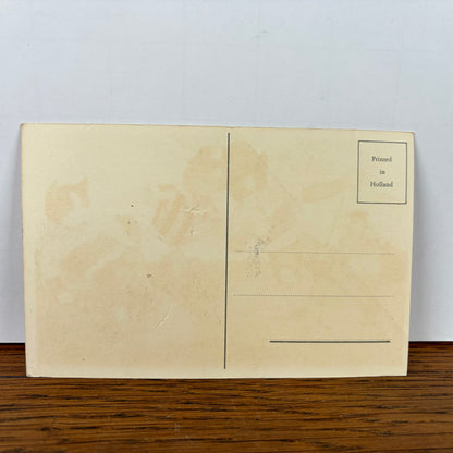 Vintage katten kaart voetbal