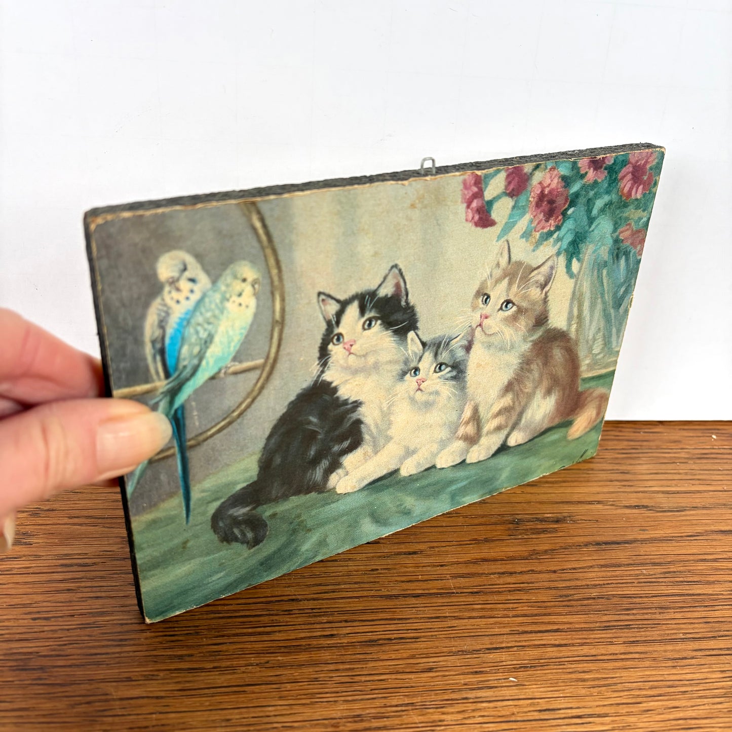 Vintage schilderijtje 3 katten