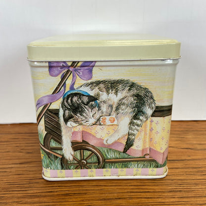 Vintage katten blik vierkant