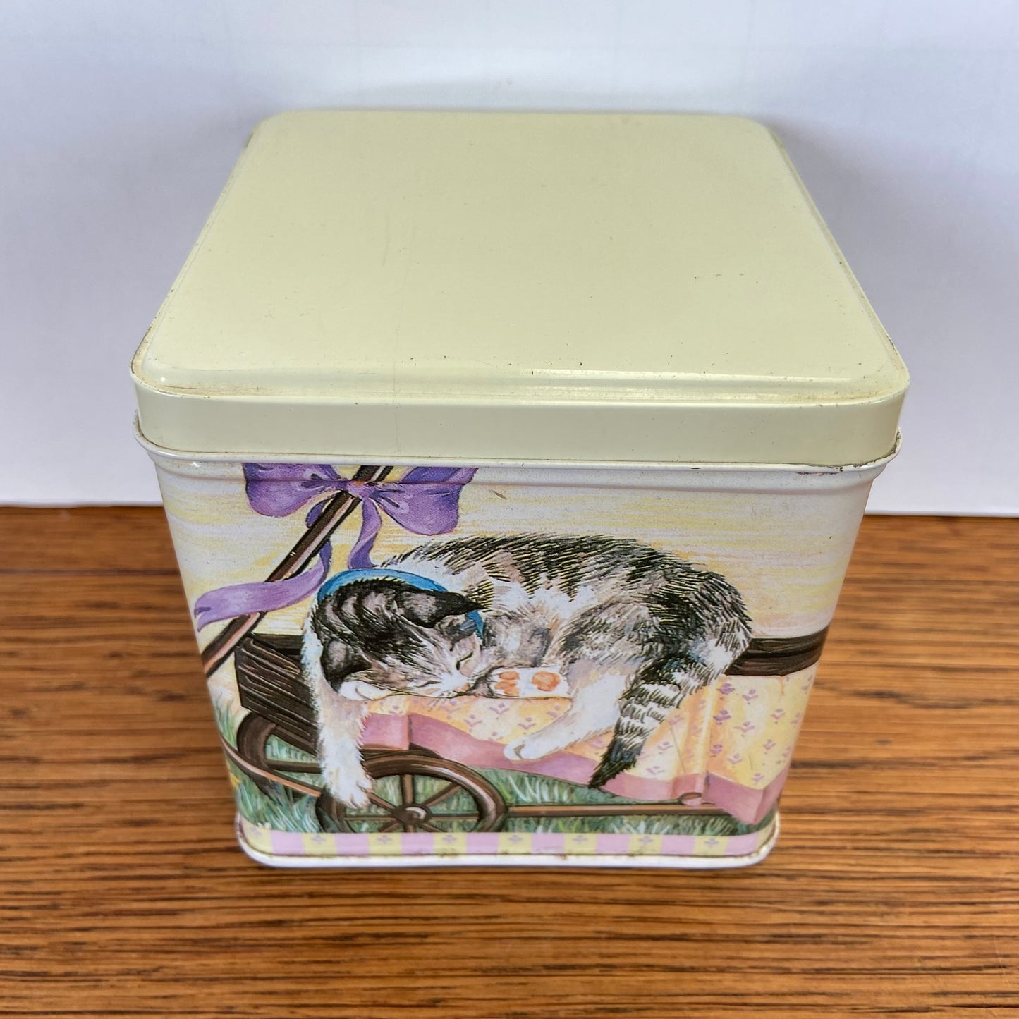 Vintage katten blik vierkant