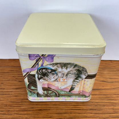 Vintage katten blik vierkant
