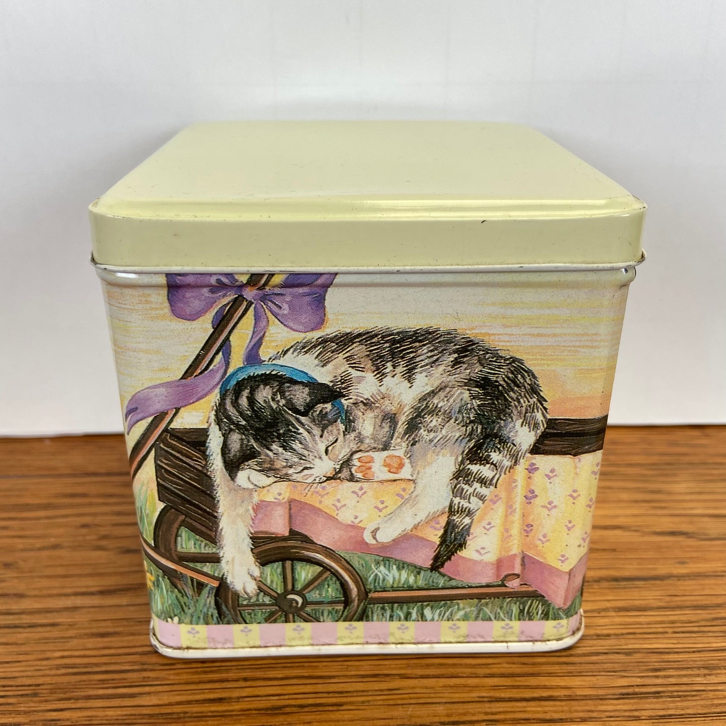 Vintage katten blik vierkant