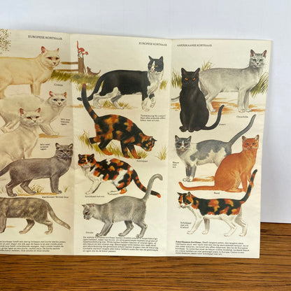 Vintage kaart katten - 94 rassen