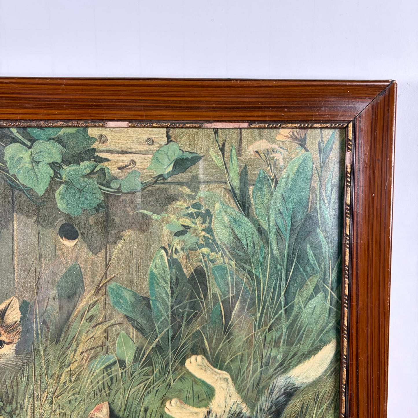 Vintage groot schilderij katten