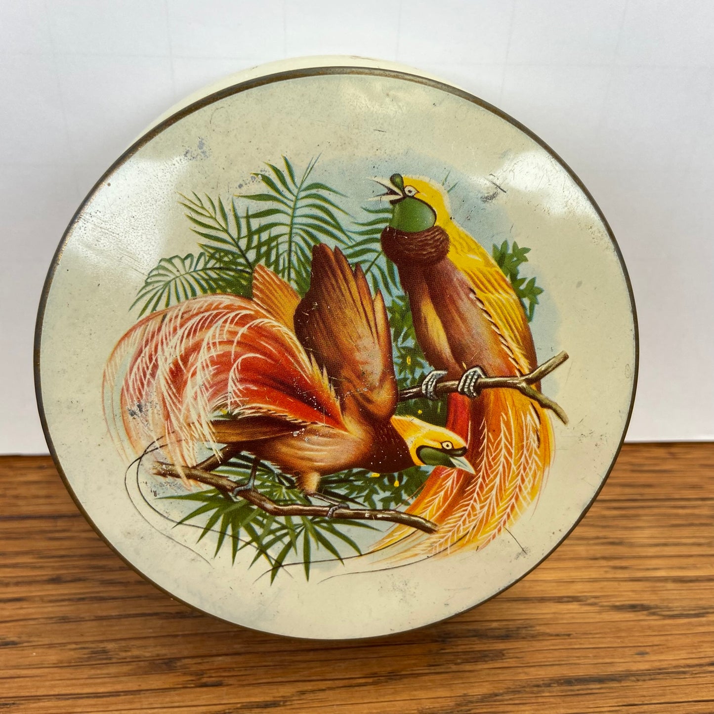 Vintage blikje paradijsvogels rond