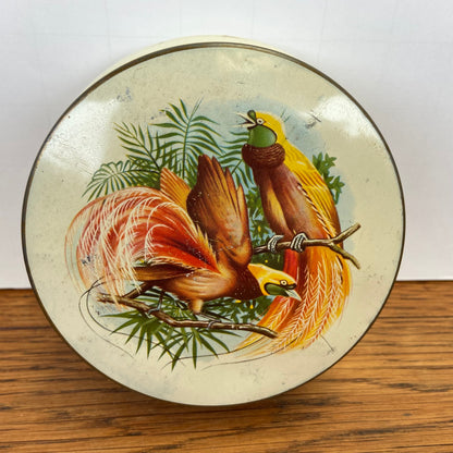 Vintage blikje paradijsvogels rond
