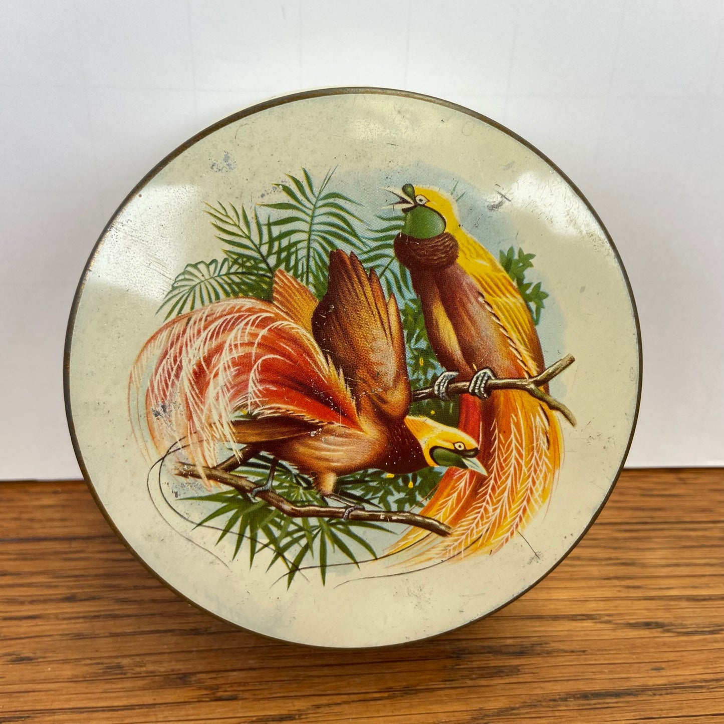Vintage blikje paradijsvogels rond