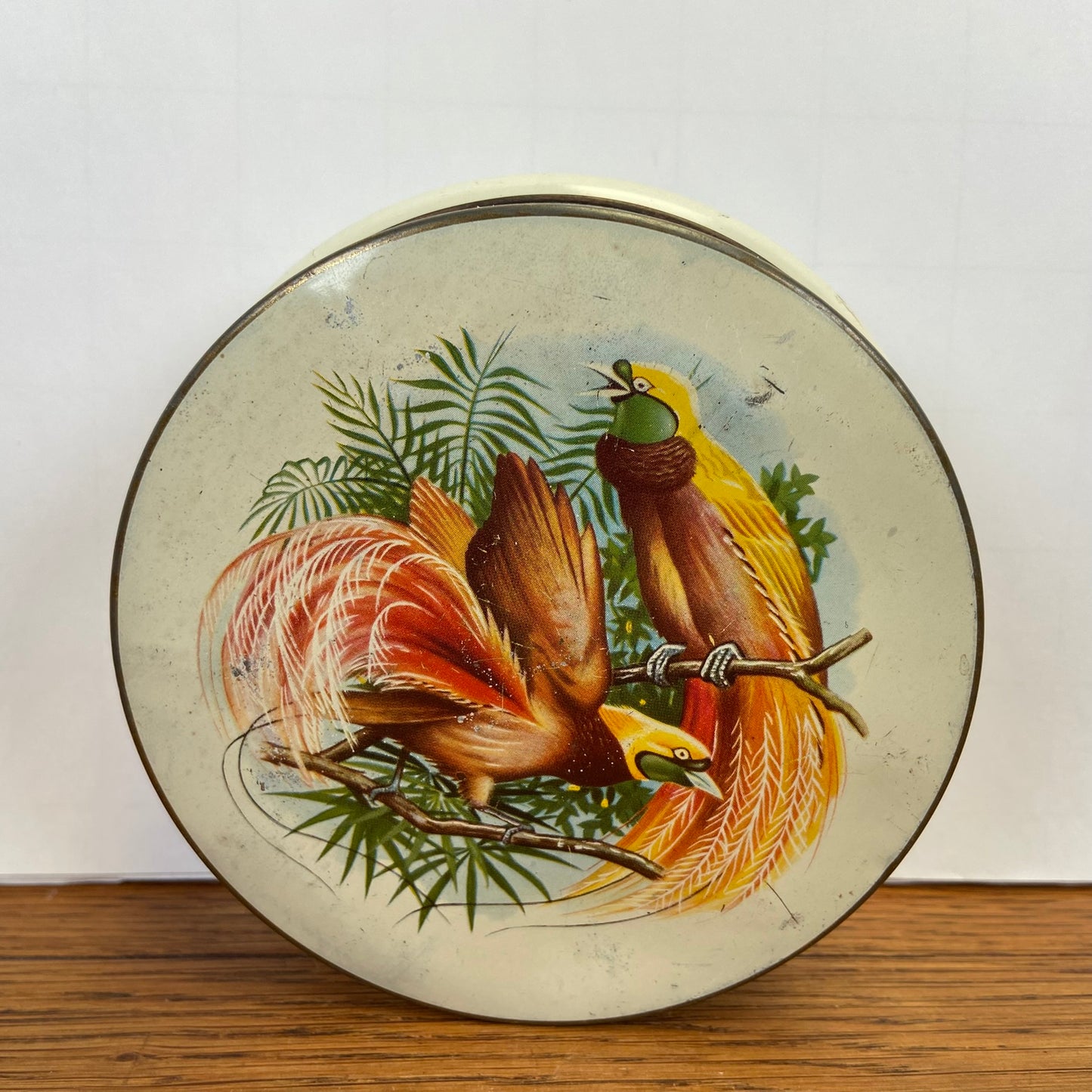 Vintage blikje paradijsvogels rond