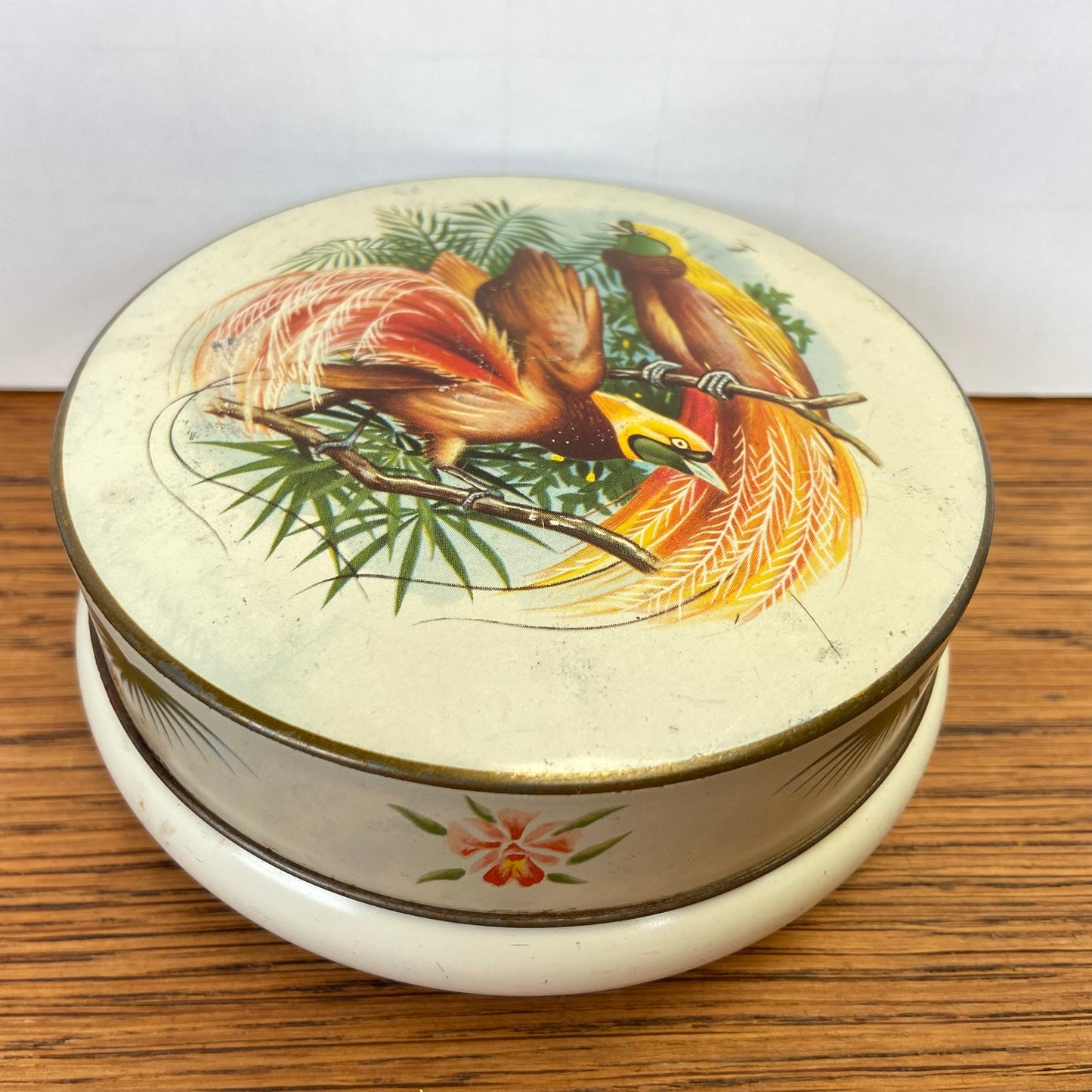 Vintage blikje paradijsvogels rond