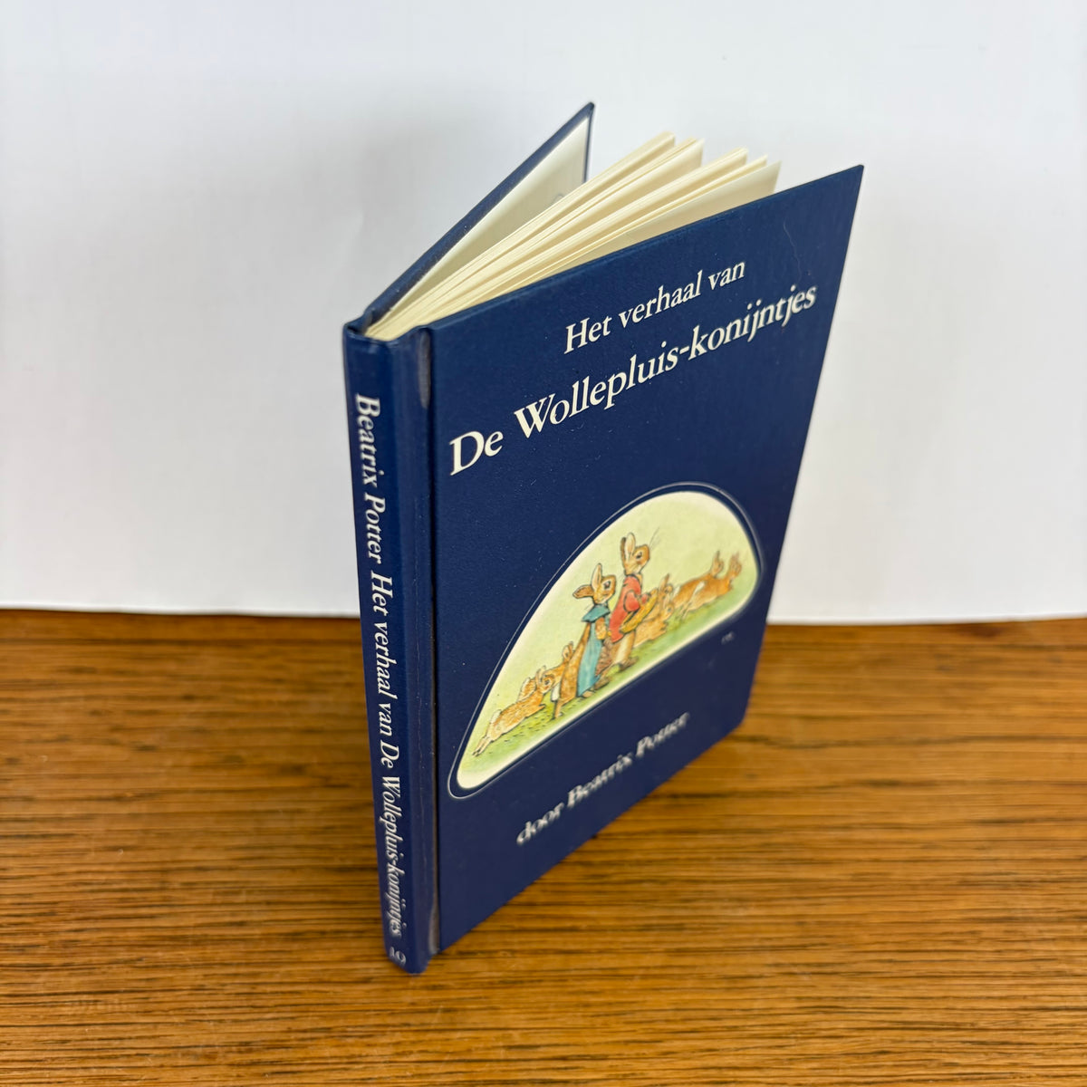 Boekje de Wollepluis konijntjes