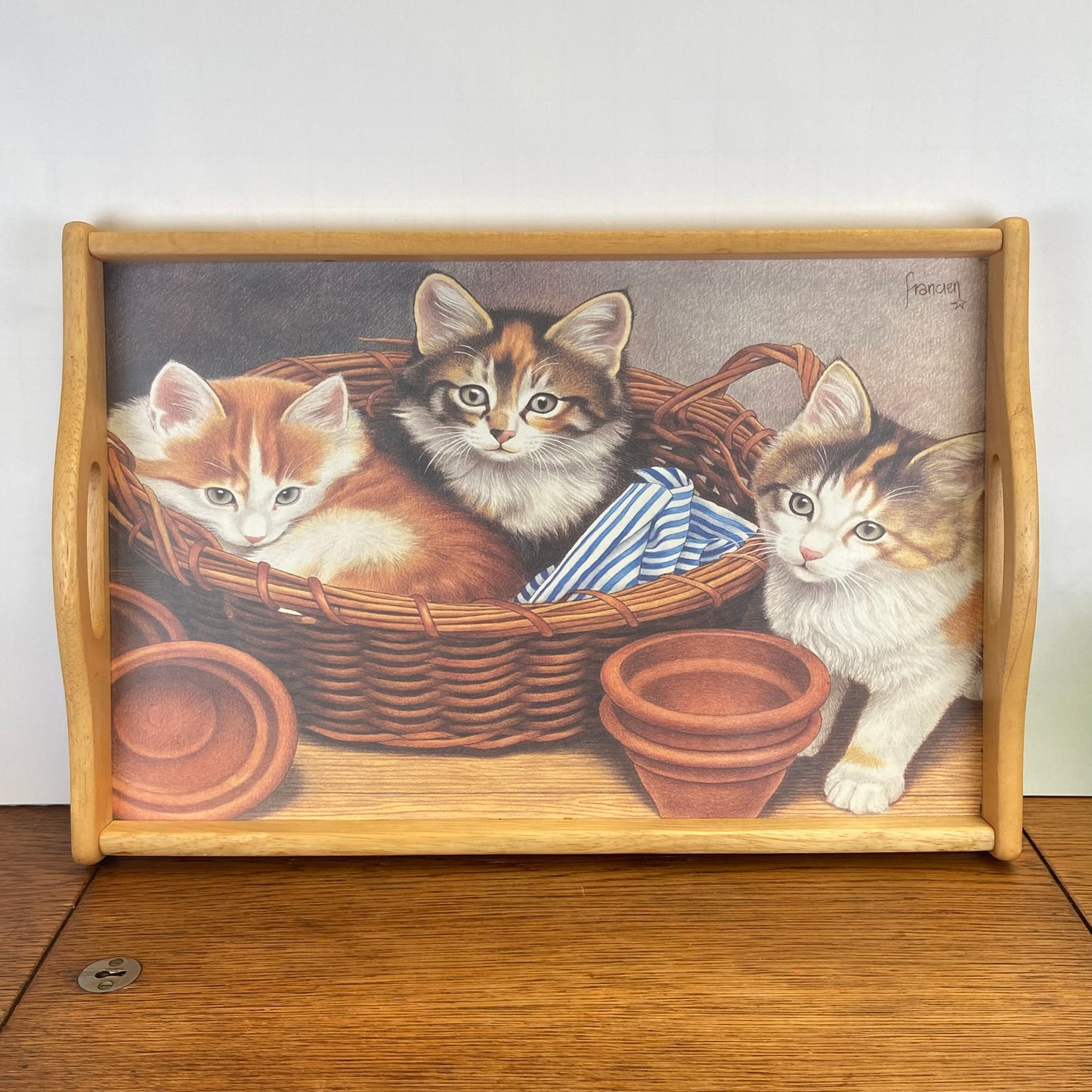 Dienblad Franciens katten
