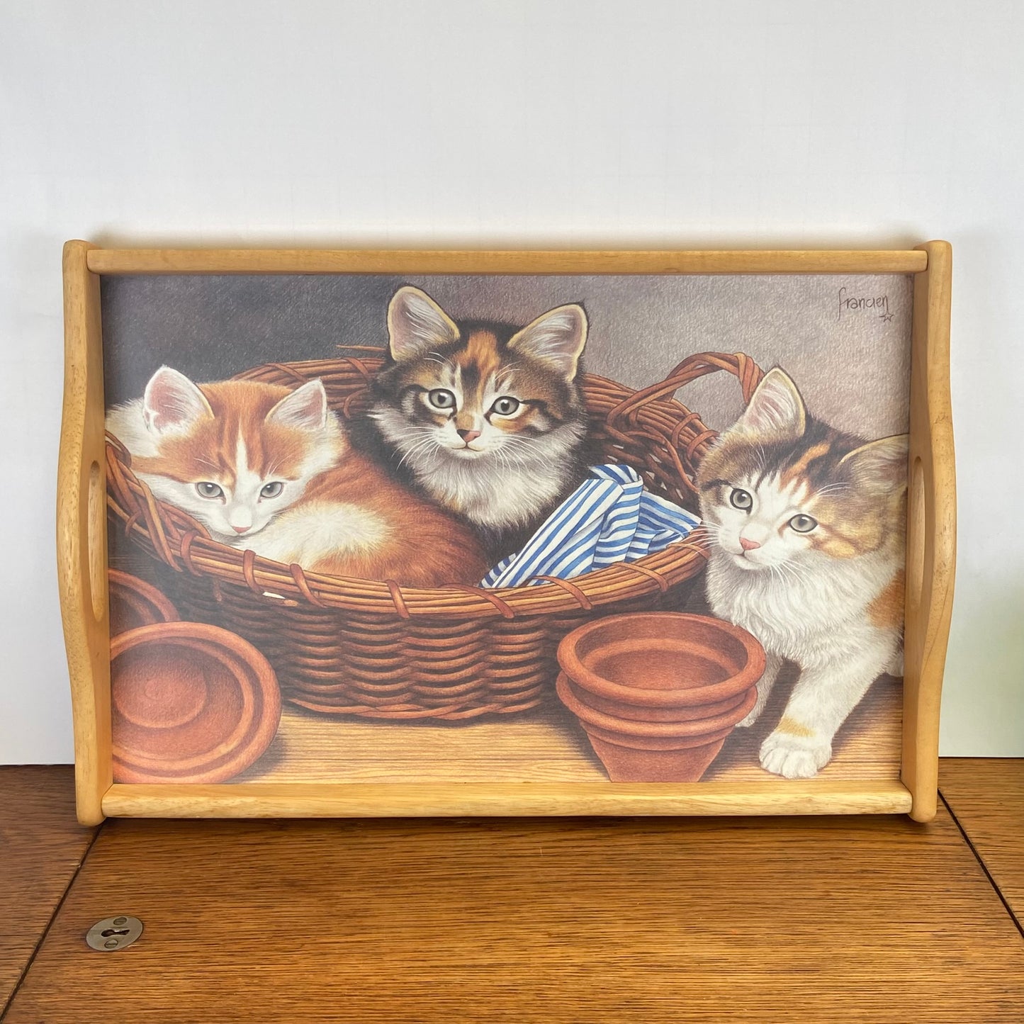 Dienblad Franciens katten