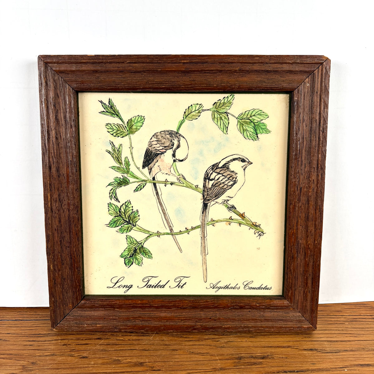 Vintage tegel met vogeltjes in lijst