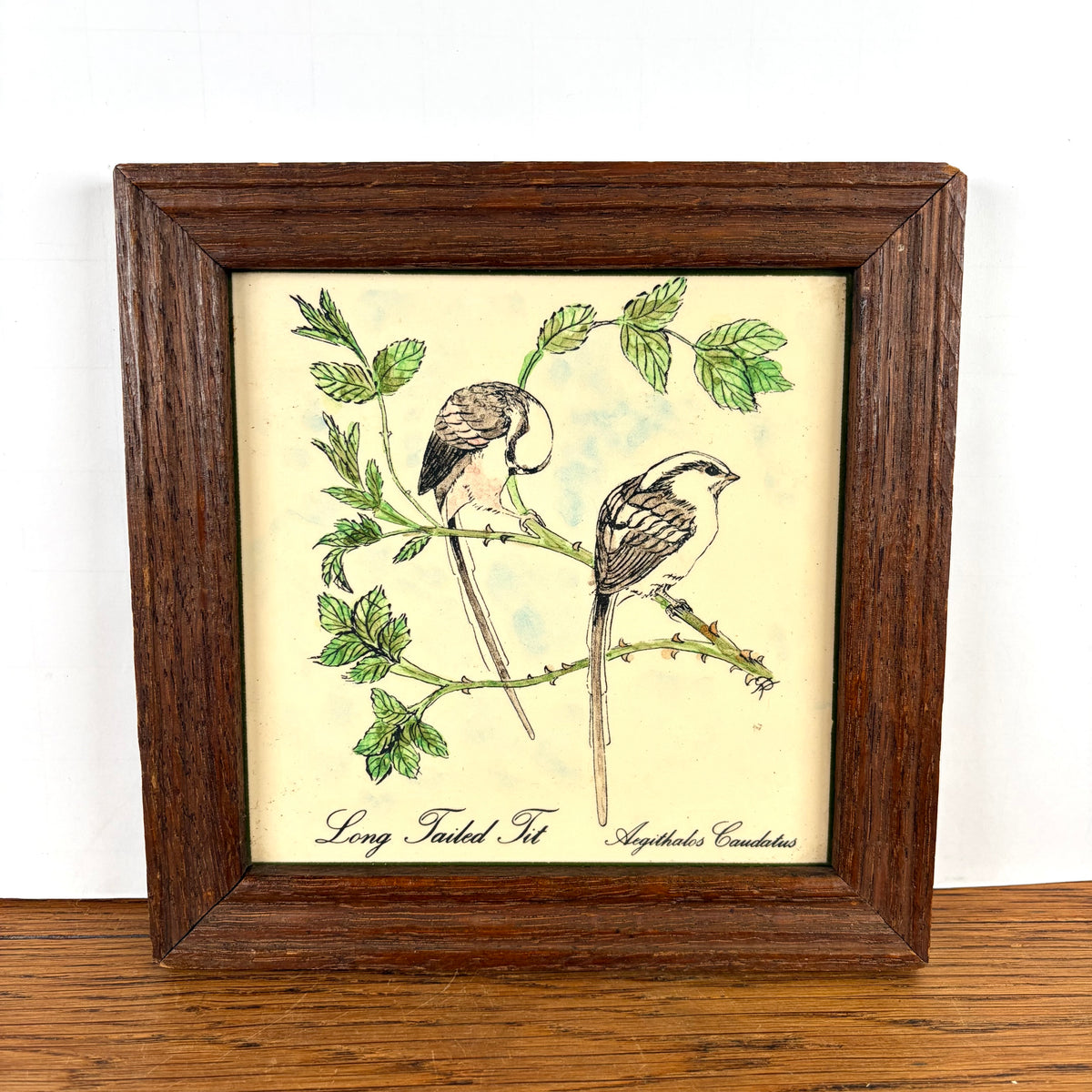 Vintage tegel met vogeltjes in lijst