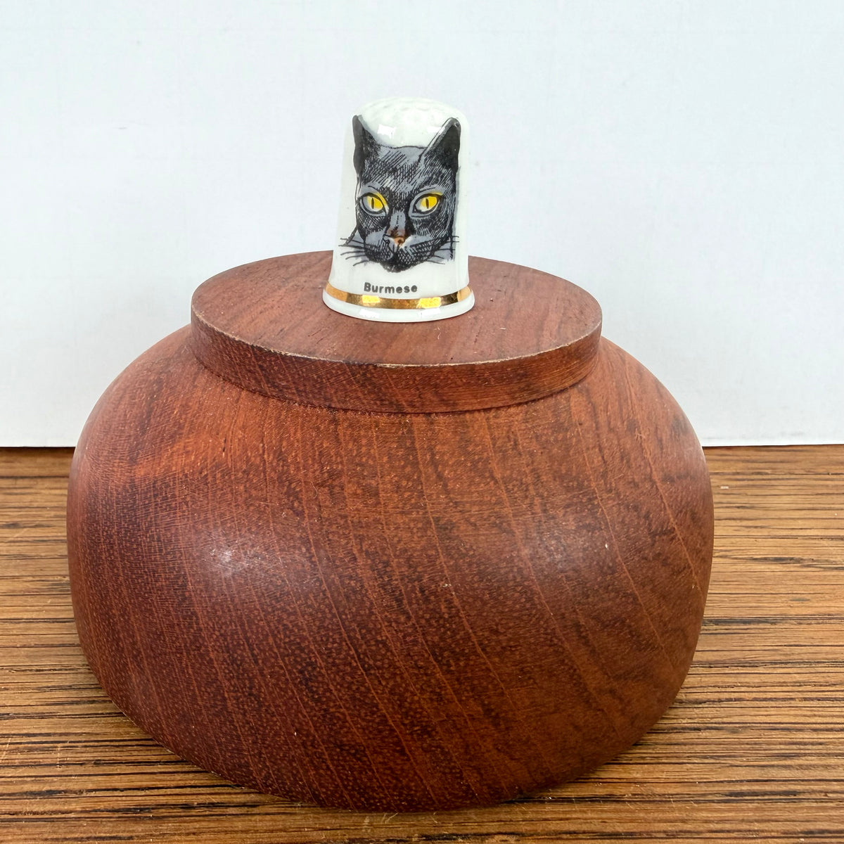 Vingerhoedje kat Birmees