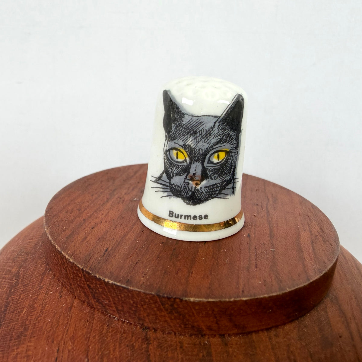 Vingerhoedje kat Birmees