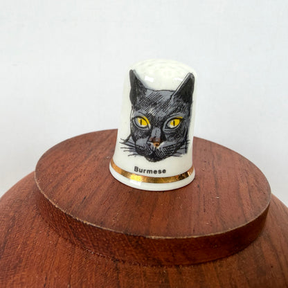 Vingerhoedje kat Birmees