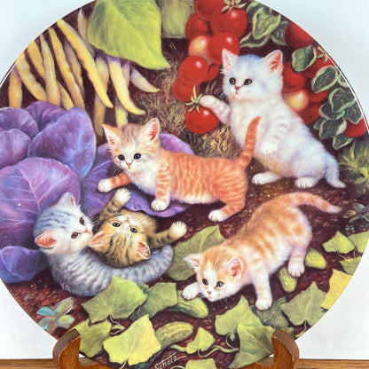 Wandbord katten  "Spielplatz Gemusebeet"