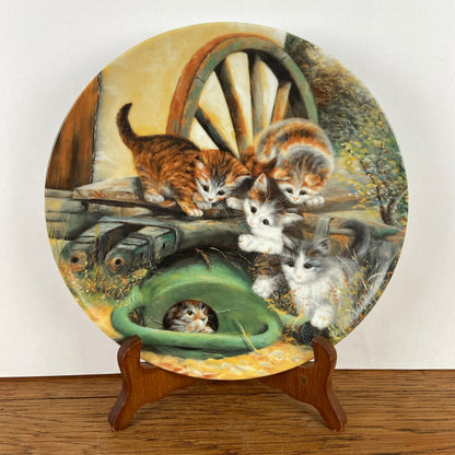 Wandbord katten "Versteckspiel"