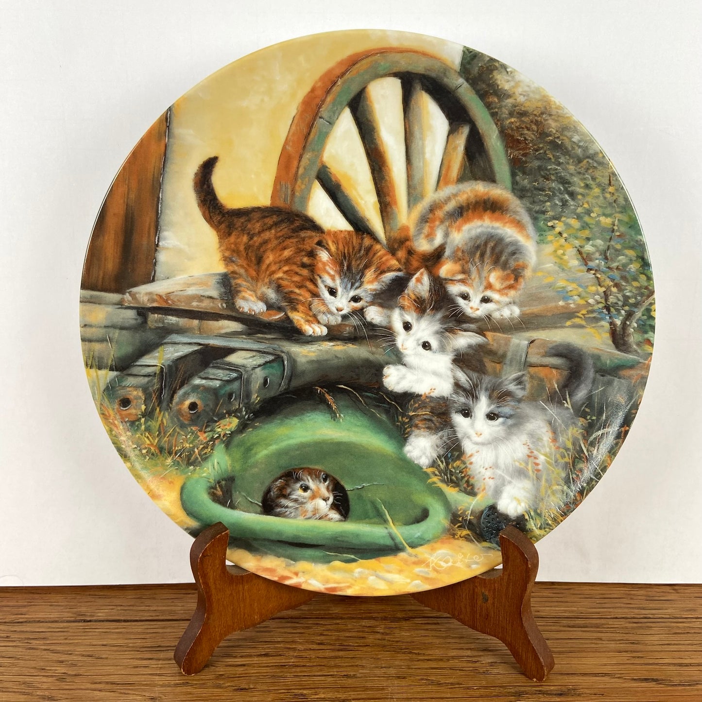 Wandbord katten "Versteckspiel"