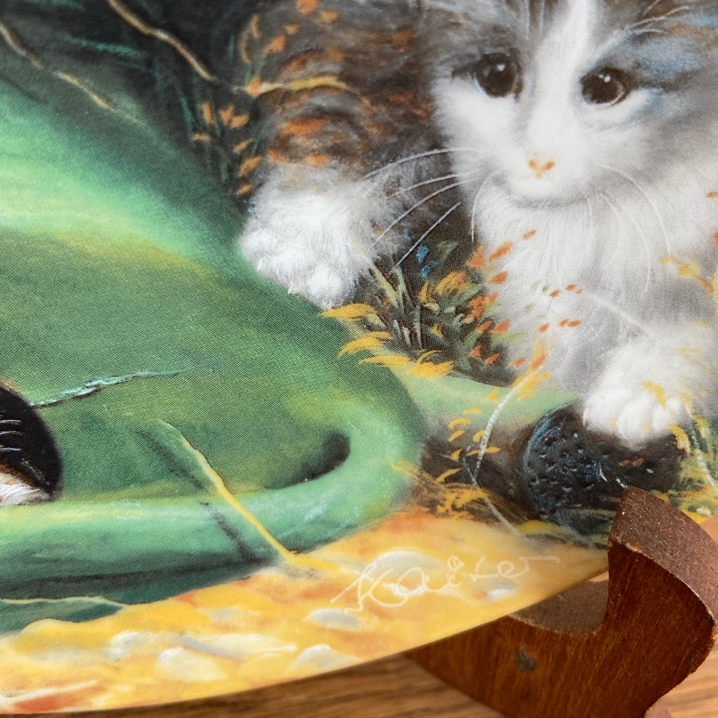 Wandbord katten "Versteckspiel"