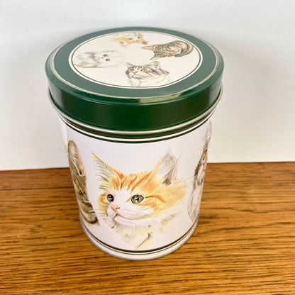 Katten blik Xenos