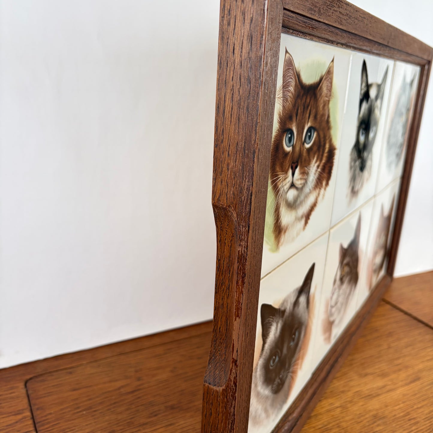 Vintage dienblad katten