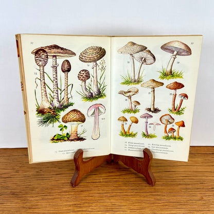 Vintage boekje Paddestoelen in kleuren