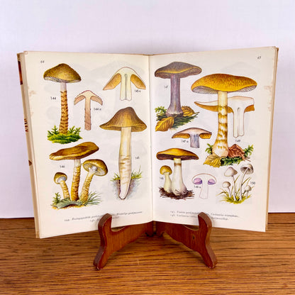 Vintage boekje Paddestoelen in kleuren