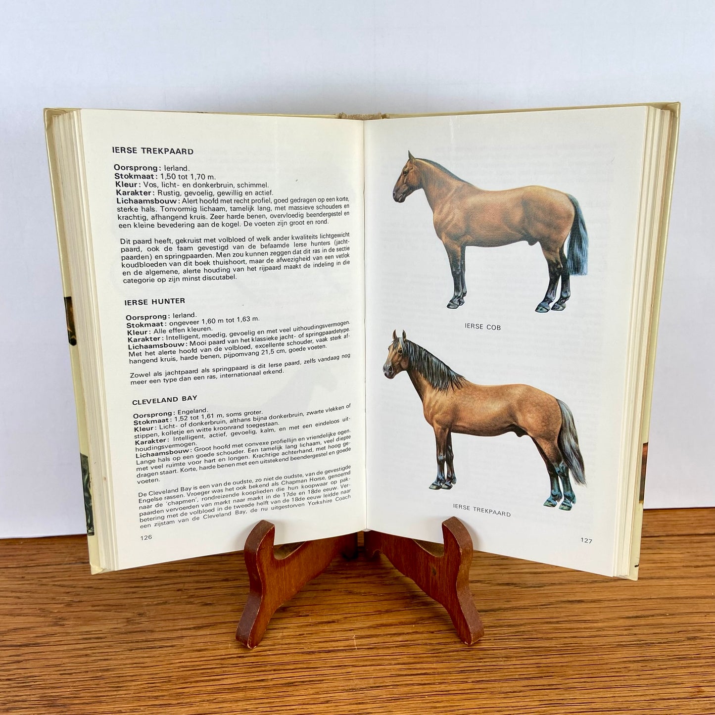 Elseviers paardengids 1976