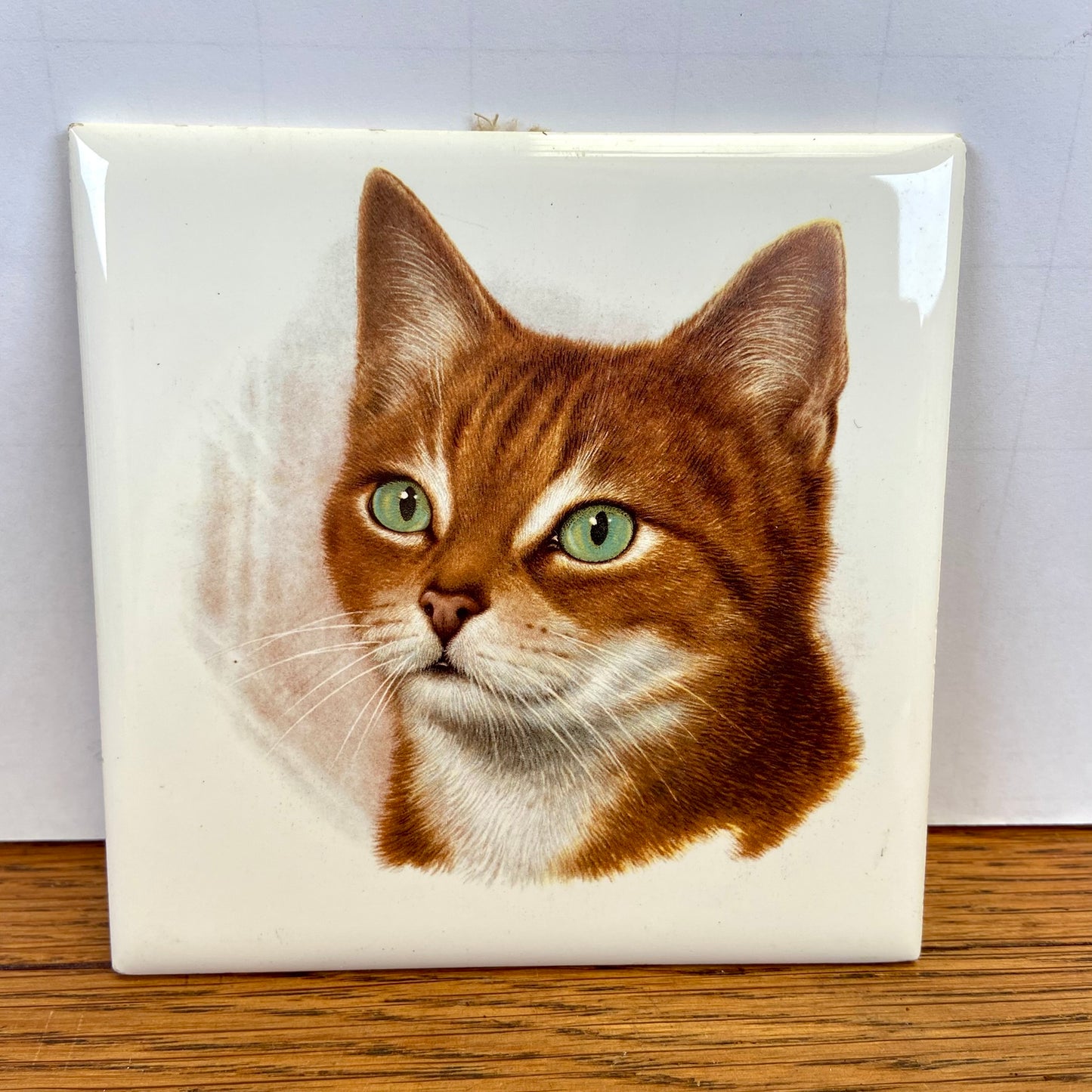 Vintage tegel rode kat