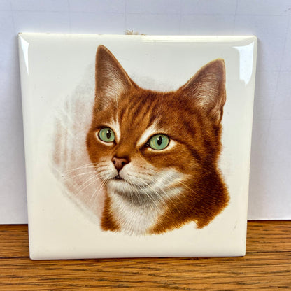 Vintage tegel rode kat